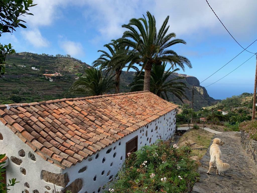 Casa Rural Emilia Villa Agulo Dış mekan fotoğraf